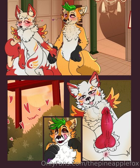 thepineapplefox free star pictures