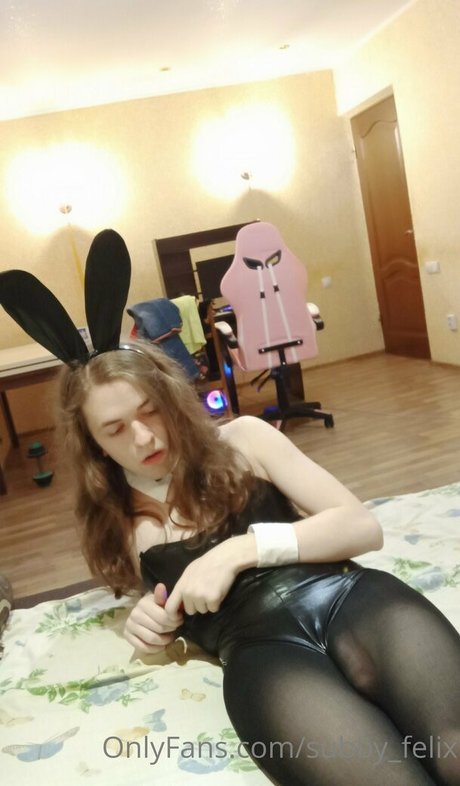 subby felix pornstar art gallery