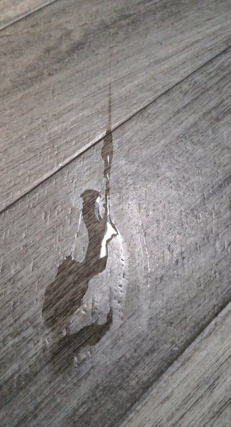 any1 4abj star hot galleries