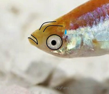 aaronicflintpublic exclusive model gallery