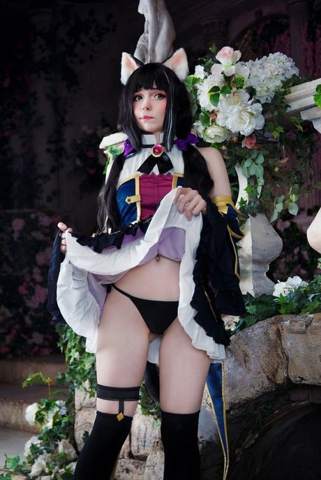 Caticornplay star perfect archive