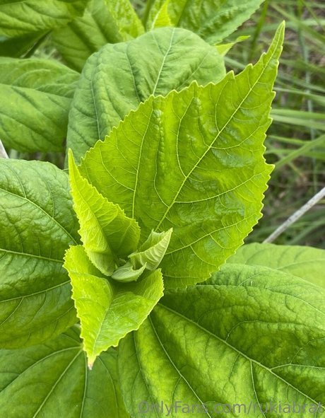 cosplay femboy onlyfans erotic photo