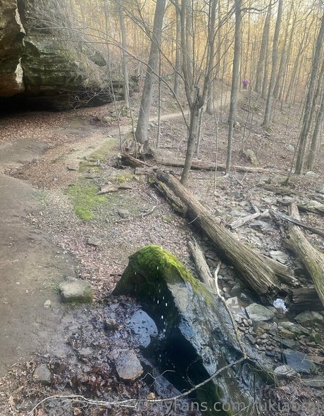 pov pussy onlyfans sexy nude image