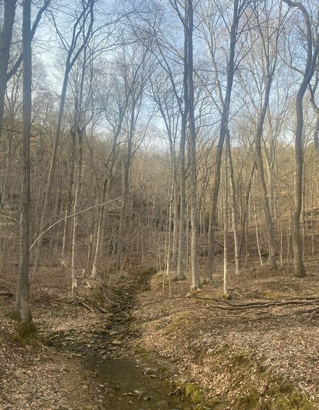 amateur pegging onlyfans nudes pics