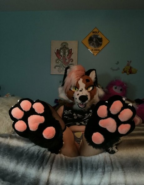 blowbang onlyfans top picture