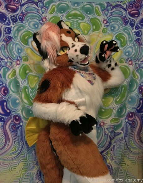 big black dick onlyfans sex pic