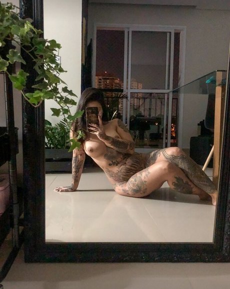 dinhafun hd star archive