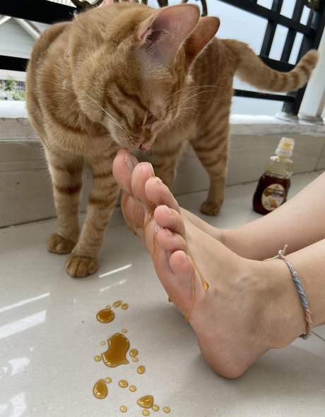 feetbecks star beautiful gallery