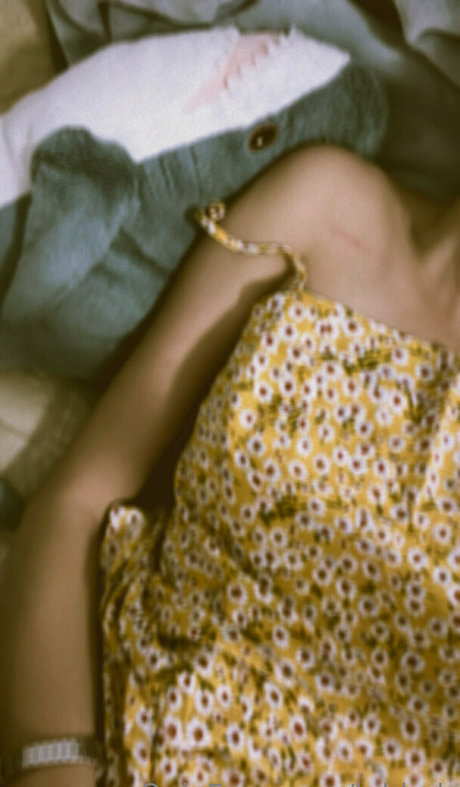 bibbob adult model image