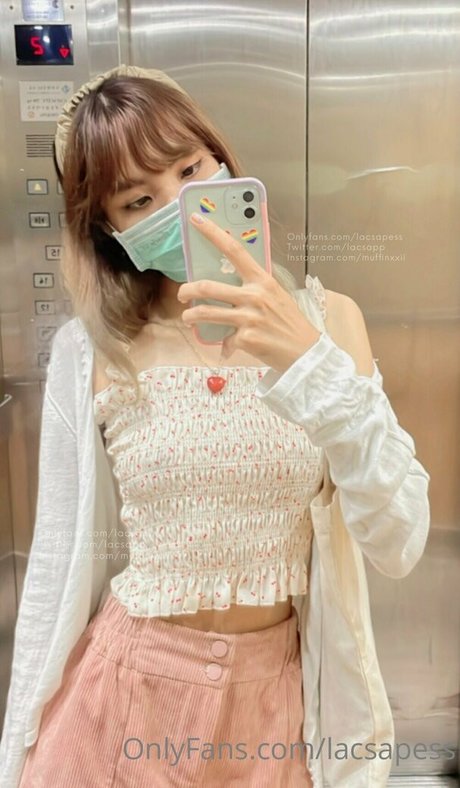 bibbob star best pic