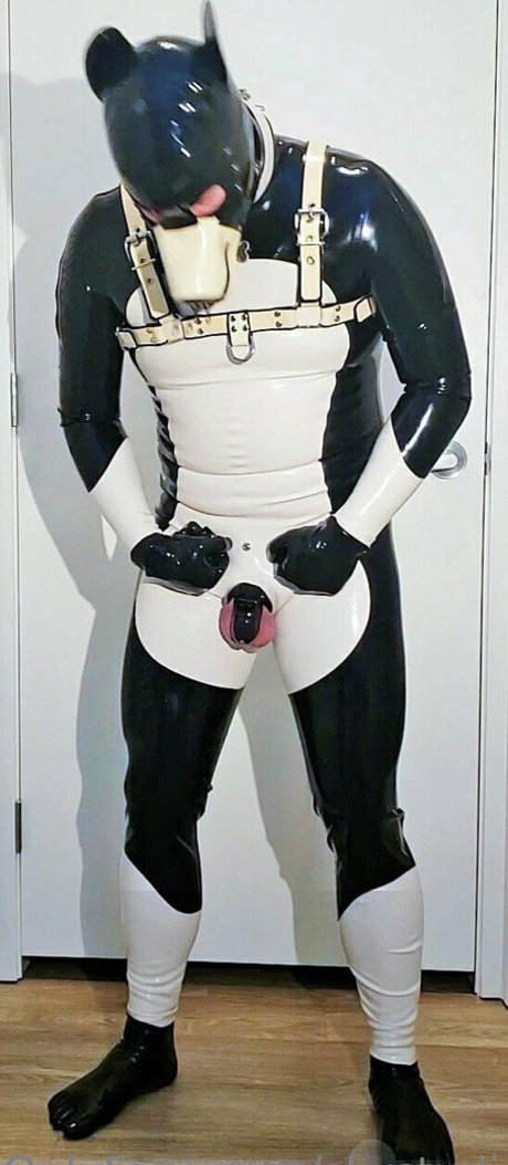 skystudios42 actress image