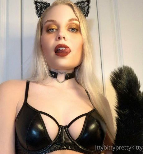 ittybittyprettykittyfree star pretty pictures