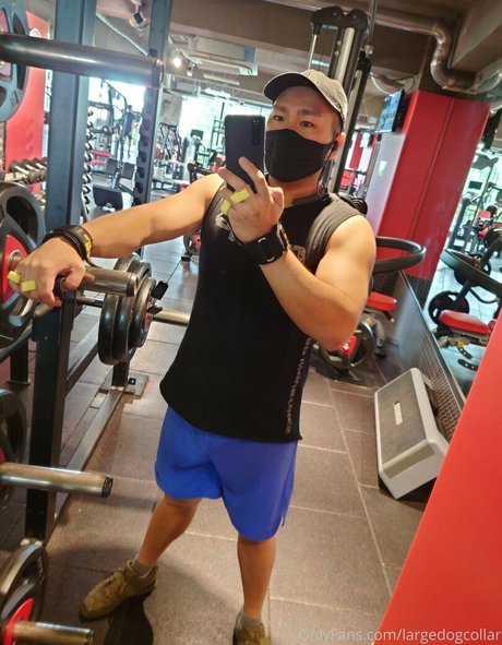 largedogcollar pornographic model pics