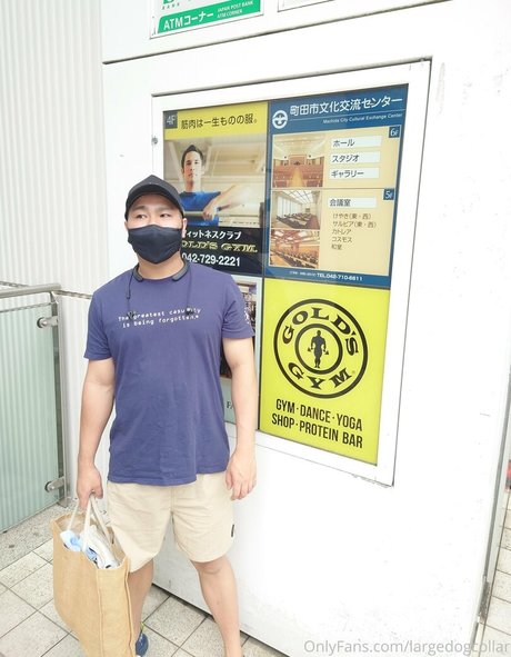 largedogcollar star beautiful images