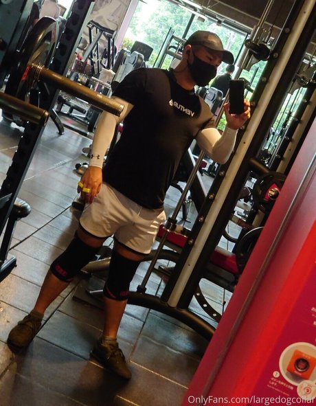 largedogcollar model naked photos