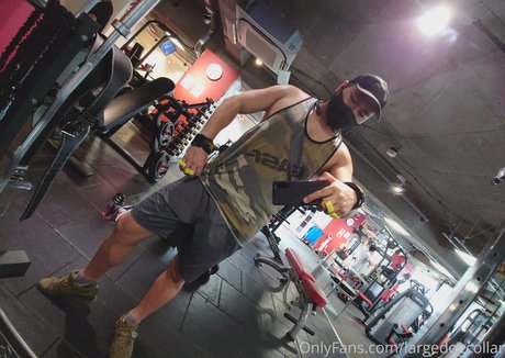 largedogcollar model best pictures