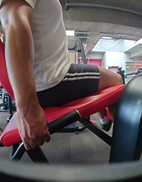 largedogcollar star nice pics