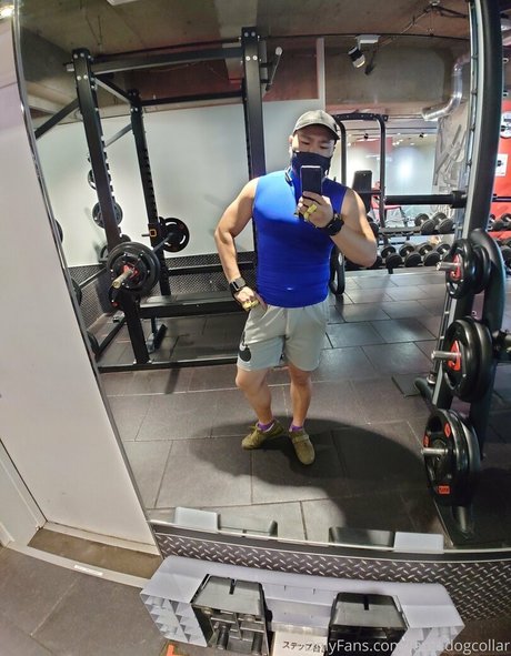 largedogcollar star erotic photo