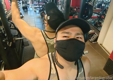 largedogcollar exclusive pornstar image