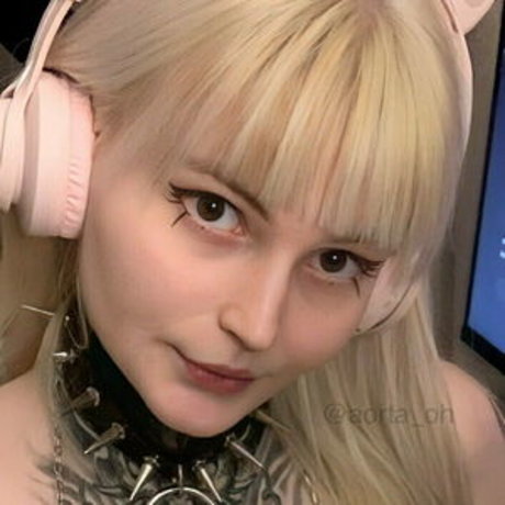 aorta free model nice image