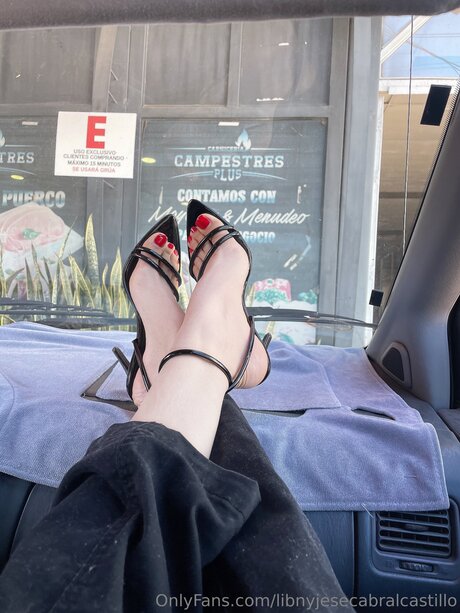 Libnyjesecabralcastillo hd pornstar galleries