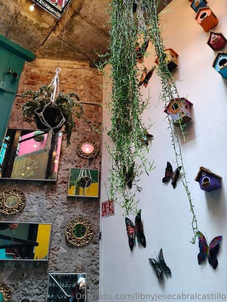 Libnyjesecabralcastillo model best pictures