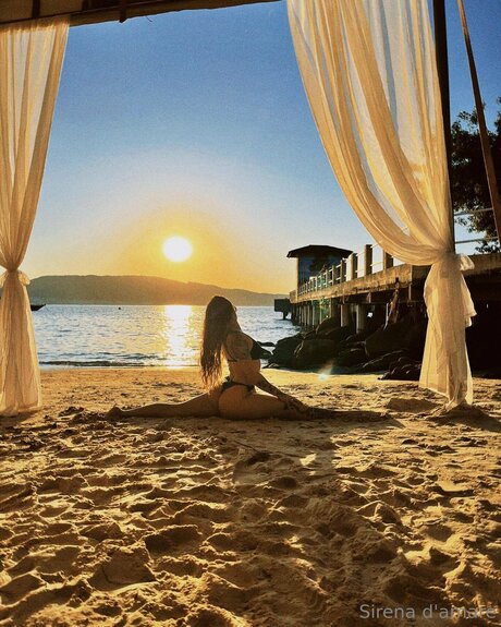 Sirenadamare pornstar adult image