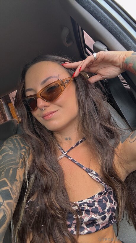 Sirenadamare star nice gallery