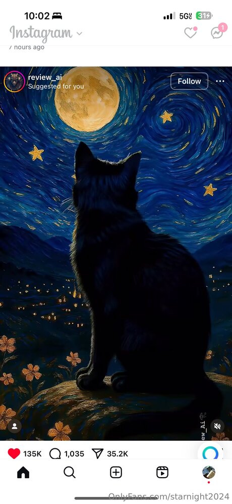 Starnight2024 pornstar art pictures