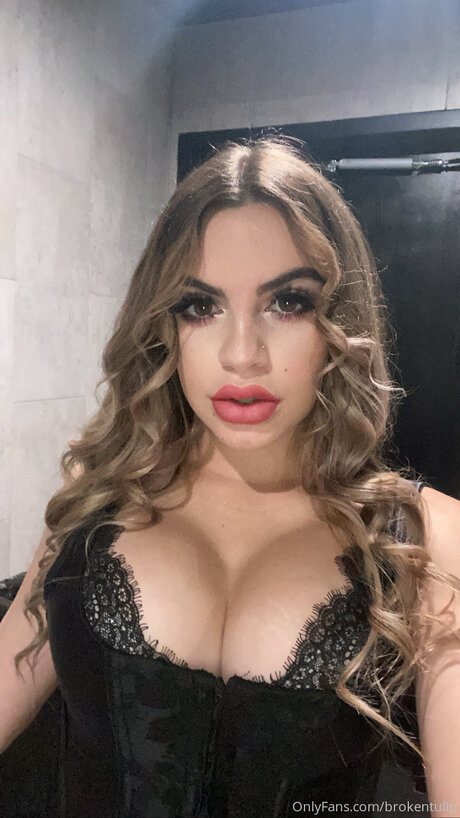 Starkyln star free picture