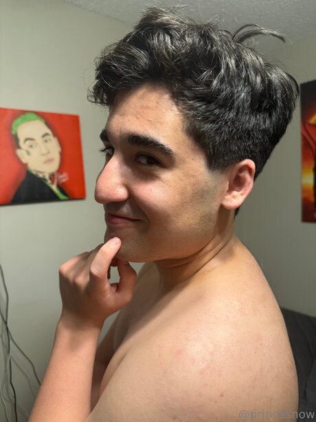 Princecsart model hd images