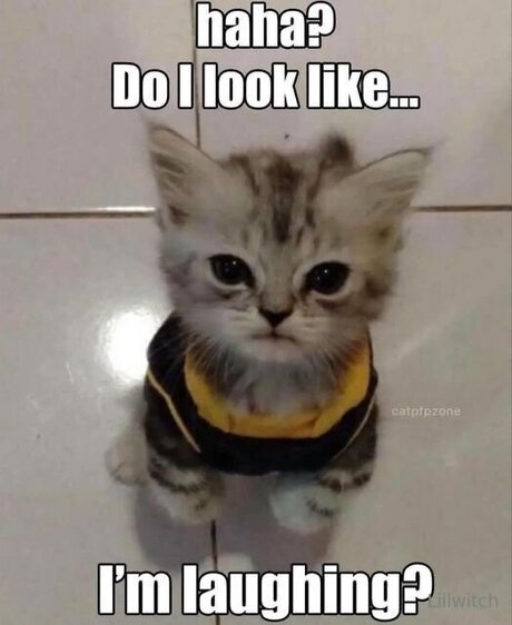 Liilwitch sexy model picture