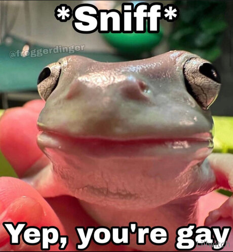 Liilwitch exclusive pornstar picture