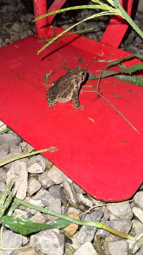 thick girls onlyfans art porn gallery