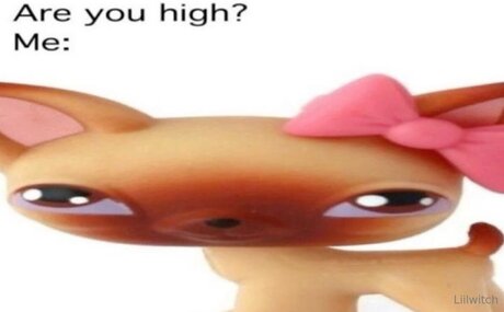 Liilwitch adult model pic