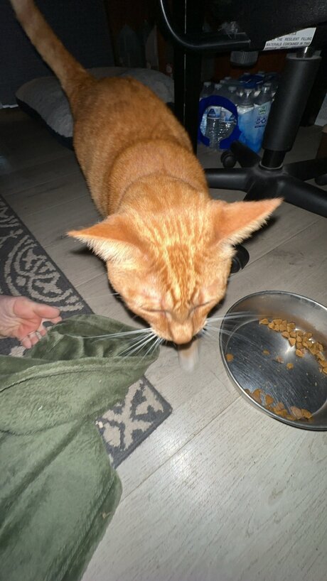 tight onlyfans hot porn photo