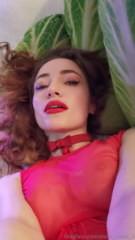 Elvira Susse 2 beautiful actress picture