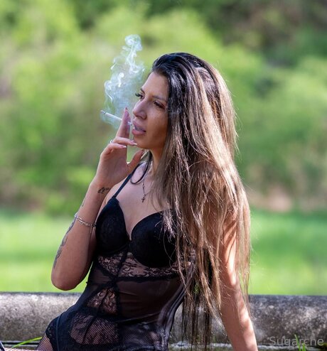 Sugarche model free img