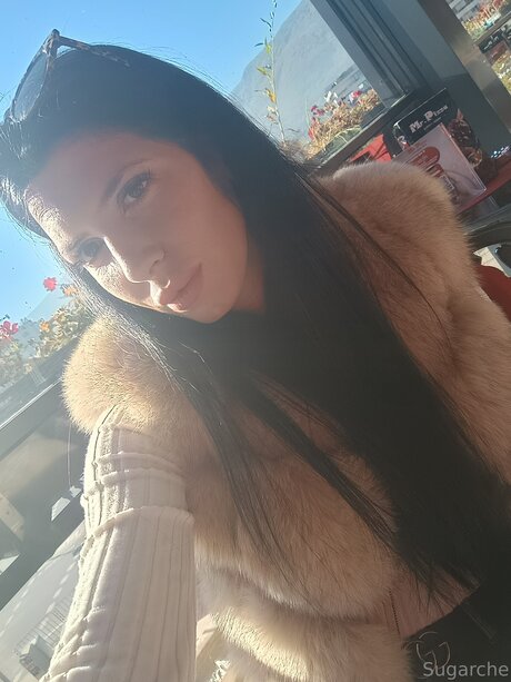 Sugarche model top image