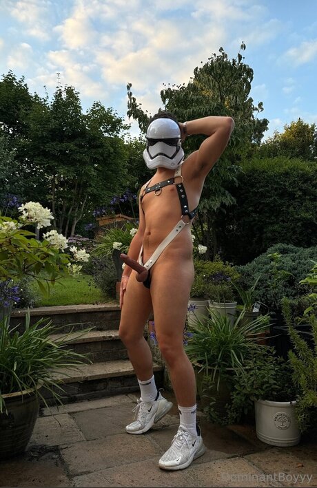 Dominantboyyy best star galleries