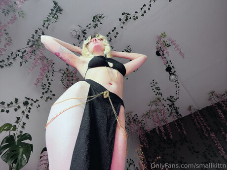 My Blushy Kittn Free star pretty pic