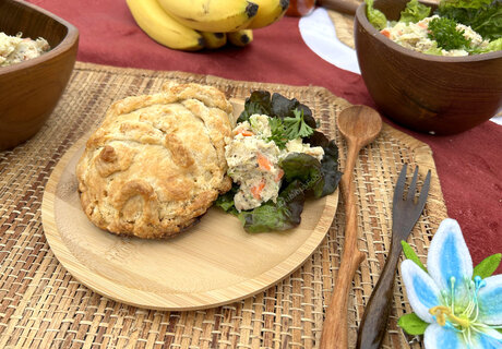 Wilddubiousfood exclusive actress galleries