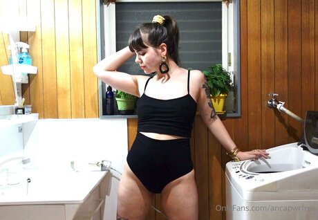 Ancapwrfree high quality model img