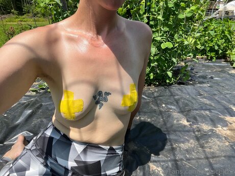 Duracell22 star adult galleries