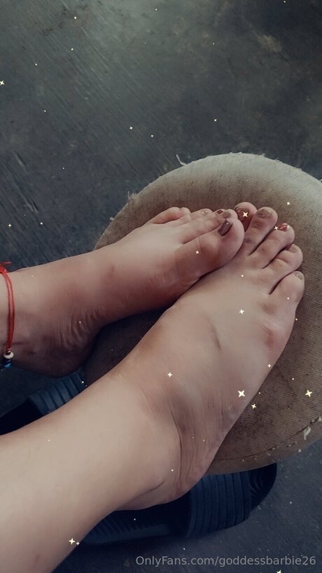 Goddessbarbie26 hot pornstar photos