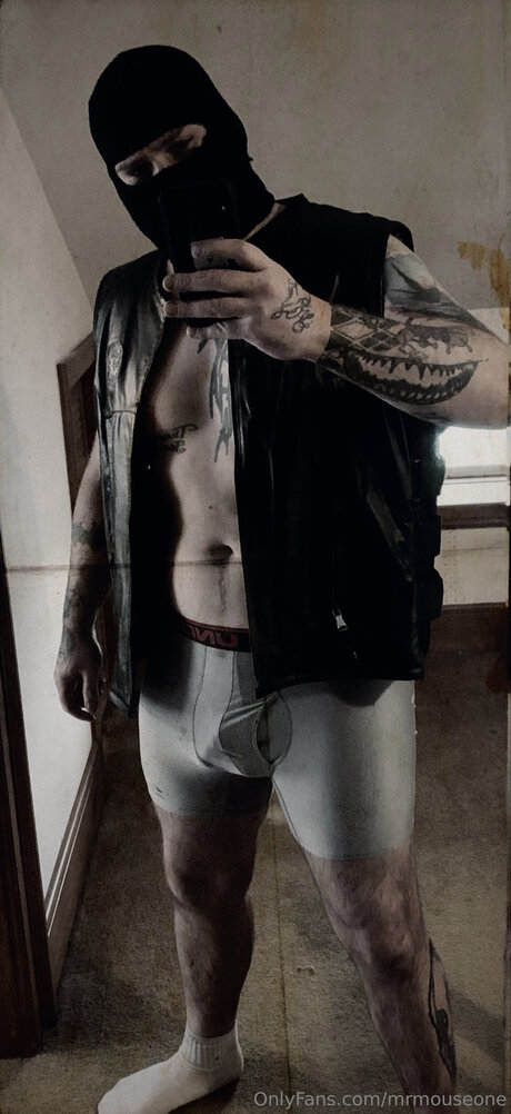 Mrmouseone pretty model img