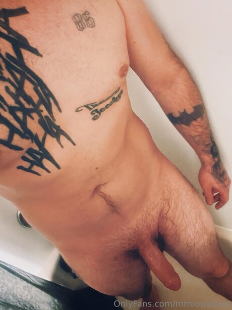 Mrmouseone nice pornstar images