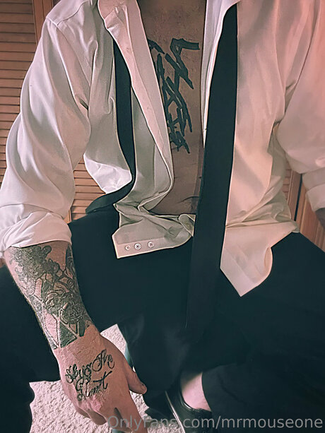 Mrmouseone model adult galleries