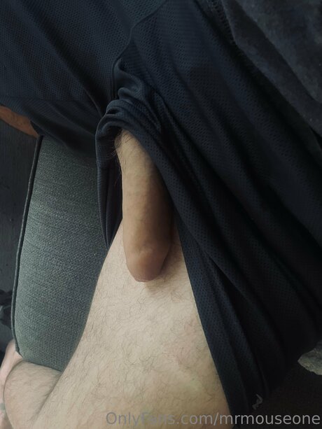 Mrmouseone nude pornstar img