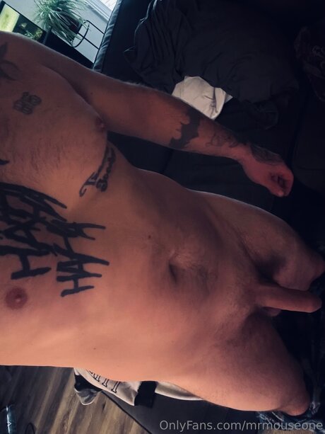 Mrmouseone perfect model pic